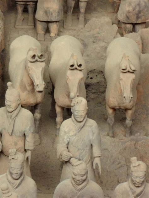 excavated chinese soldiers and horses|qin tomb soldiers.